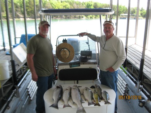 Nice Striped Bass